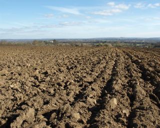 ploughed land